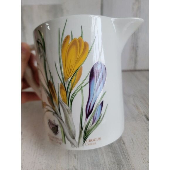 Botanic Gardens crocus meadow saffron snow drop picture flower - Picture 10 of 11